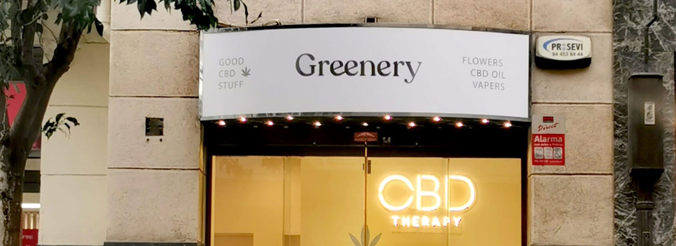 CBD Bilbao. Tu tienda de CBD cerca de ti en Bilbao. Compra CBD en Bilbao de la mejor calidad. Entrada tienda de CBD Bilbao de Greenery 420.