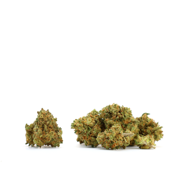 Popcorn CBD Little Lime, bourgeons à l’effet puissant et arôme d’agrumes disponibles à l’achat en ligne. Uniquement les meilleurs bourgeons de CBD sur notre site Greenery (anciennement flowerfarm)