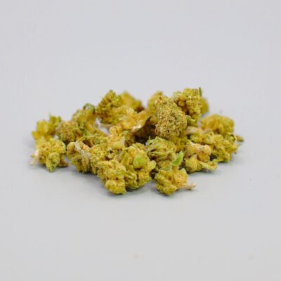 Petits bourgeons de CBD Strawberry Kush avec des tons verts et des pistils orange