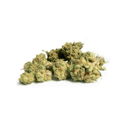 CBD Popcorn Little lime - Bourgeon de CBD à acheter en ligne chez Greenery
