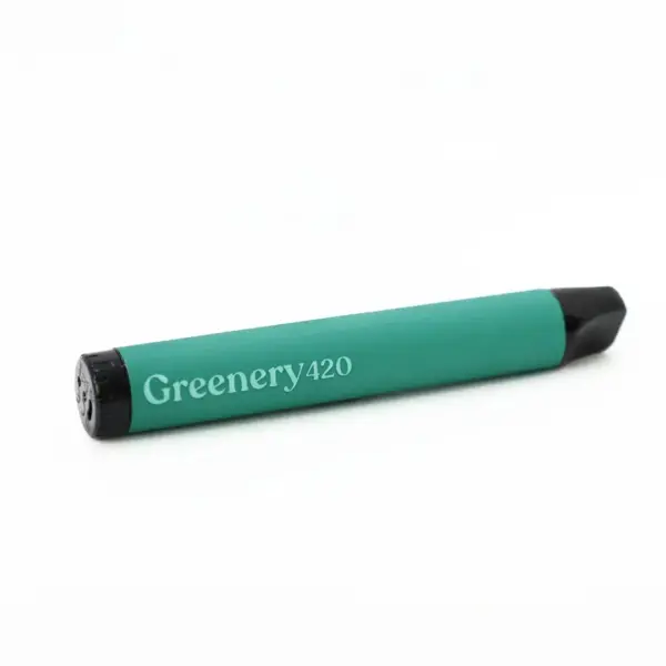 Vapoteur CBD Cactus – Image 2