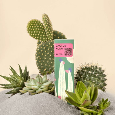 Vapoteur CBD Cactus