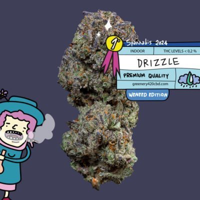 Fleur de CBD médaillée d’or à la Spannabis 2024 avec un dessin illustrant la collaboration unique entre WeNeed, cultivateurs de cannabis médical haut de gamme et Greenery 420