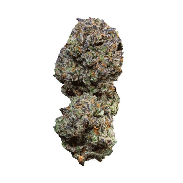 Filet de fleur de CBD vainqueur de la Spannabis Champions Cup 2024