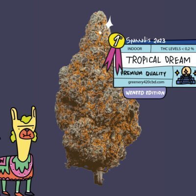 Fleurs de CBD Tropical Dream 🥇 Spannabis