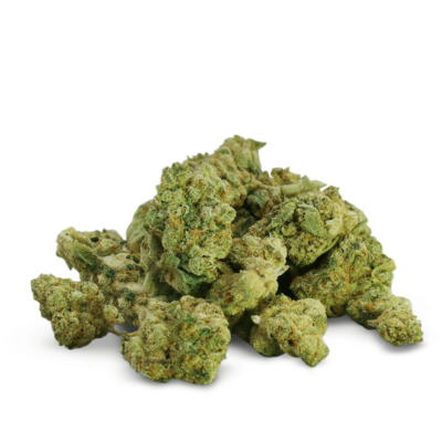 Petits bourgeons d’Amnesia Hydro CBD premium. Bourgeons de pop-corn de fleur de CBD