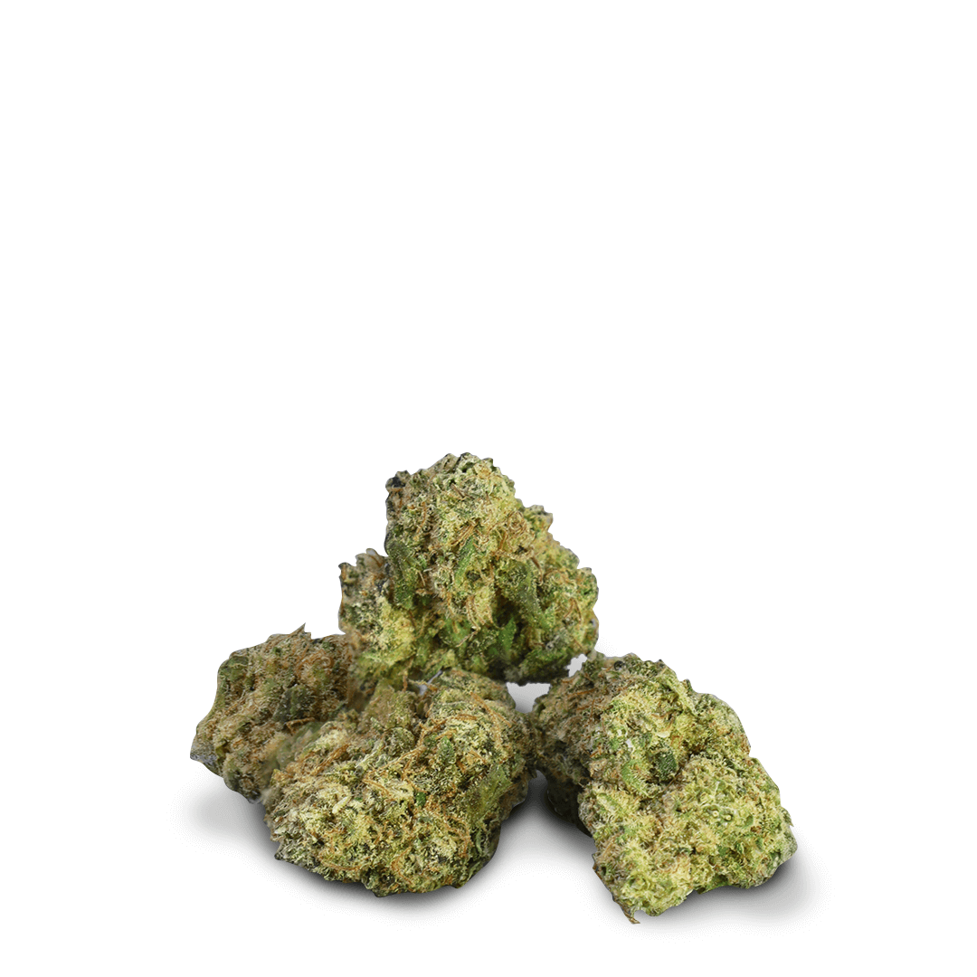 Petits bourgeons de Jet Fuel Gelato CBD.