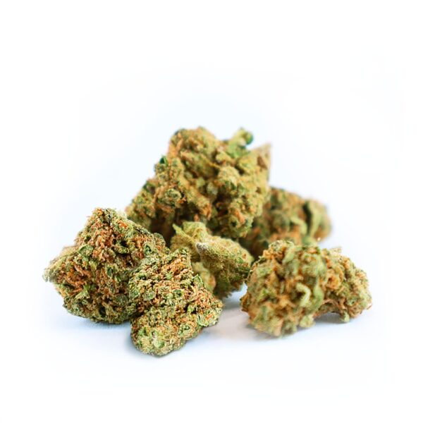 Nouveau maïs soufflé aux bleuets avec des bourgeons de qualité supérieure par Greenery 420