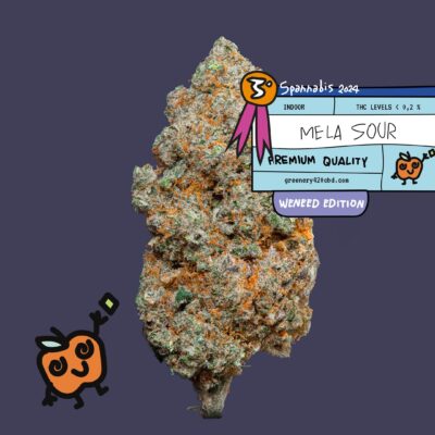 Découvrez la fleur de CBD primée à la Spannabis 2024
