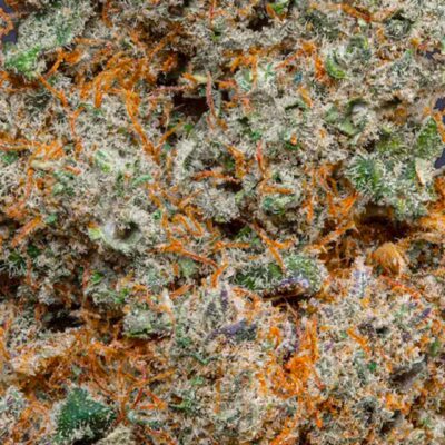 Découvrez la fleur de CBD primée à la Spannabis 2024