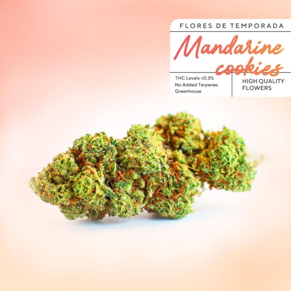 Bonbons au CBD bon marché Mandarine Cookies chez Greenery 420. Des fleurs de CBD à 2 € le gramme avec une qualité incroyable