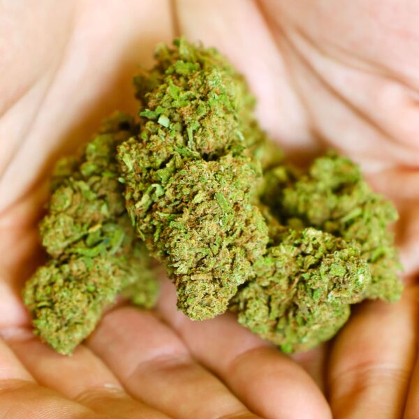 Bonbons au CBD bon marché Mandarine Cookies chez Greenery 420. Des fleurs de CBD à 2 € le gramme avec une qualité incroyable