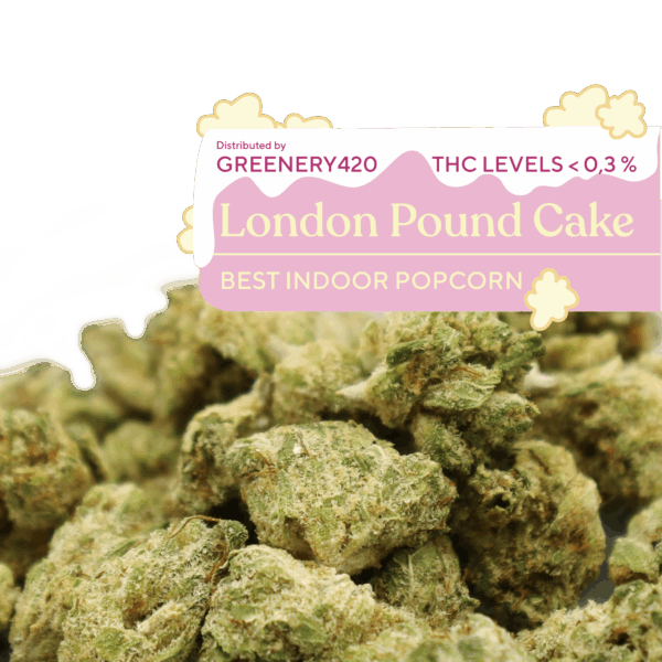 Popcorn CBD London Pound Cake