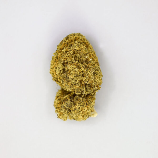 Cogollo de CBD variedad Amnesia Haze Indoor sobre fondo blanco.