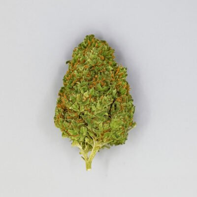 Cogollo de CBD variedad Lemon Kush Pop sobre fondo blanco.