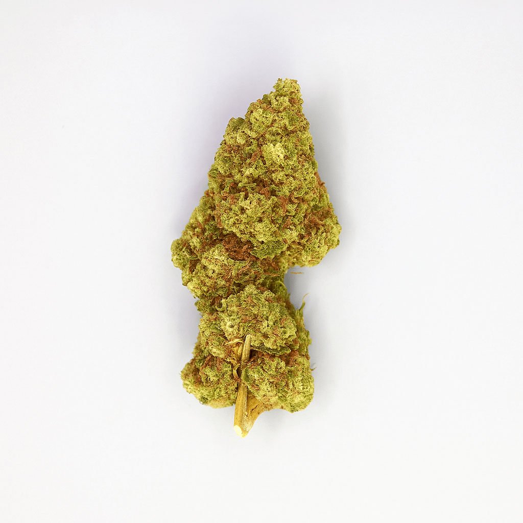 Bourgeon de CBD Melon Blanc Variété d’intérieur sur fond blanc.